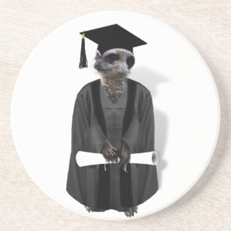 Posavasos Graduado de Meerkat con traje gris y negro