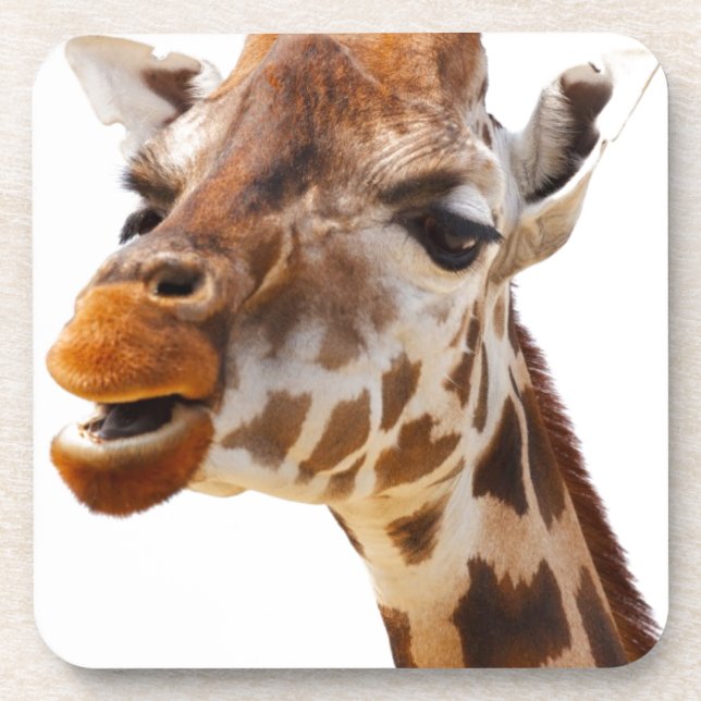 Posavasos Grafa de la selva africana Safari (Frente)