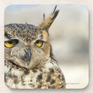 Posavasos Gran búho de cuernos (virginianus) del bubón,