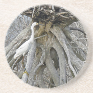 Posavasos Gran Egret (Ardea alba) BX Bancos Exteriores