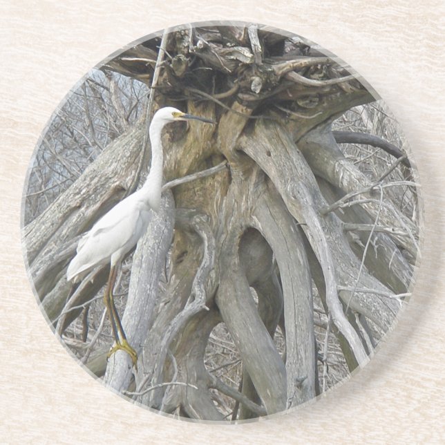 Posavasos Gran Egret (Ardea alba) BX Bancos Exteriores (Frente)