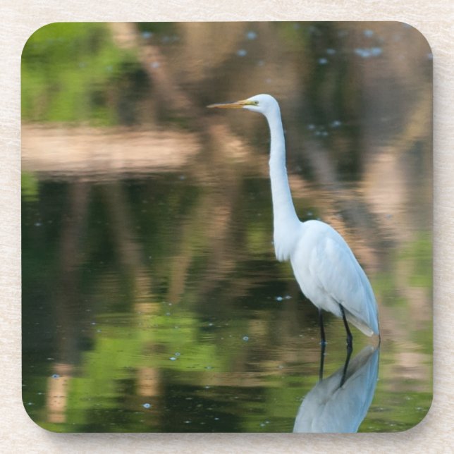 Posavasos Gran Egret Blanco (Frente)