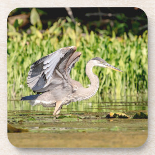 Posavasos Gran garza azul