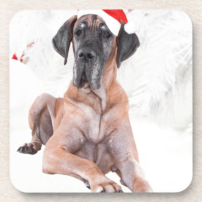 Posavasos Gran Gorra de perro danés Feliz Navidad (Frente)