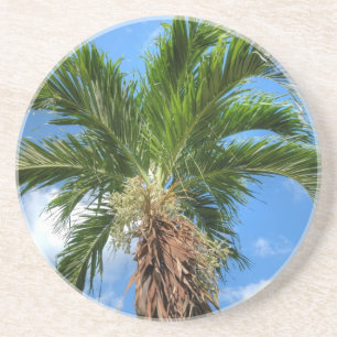 Posavasos Gran palmera en cielo azul en día ventoso