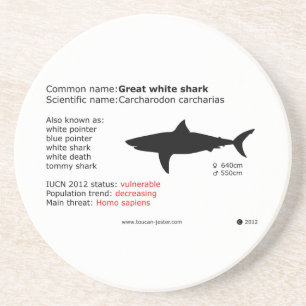 Posavasos Gran práctico de costa del tiburón blanco