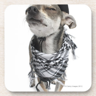 Posavasos Granangular de una chihuahua con el suyo observa