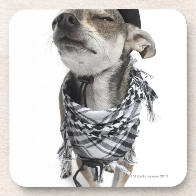 Posavasos Granangular de una chihuahua con el suyo observa (Frente)