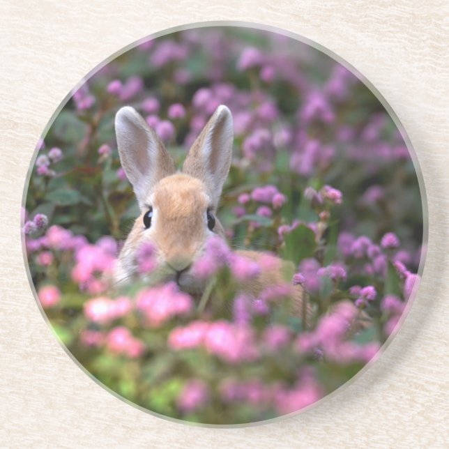 Posavasos Granja de conejo (Frente)