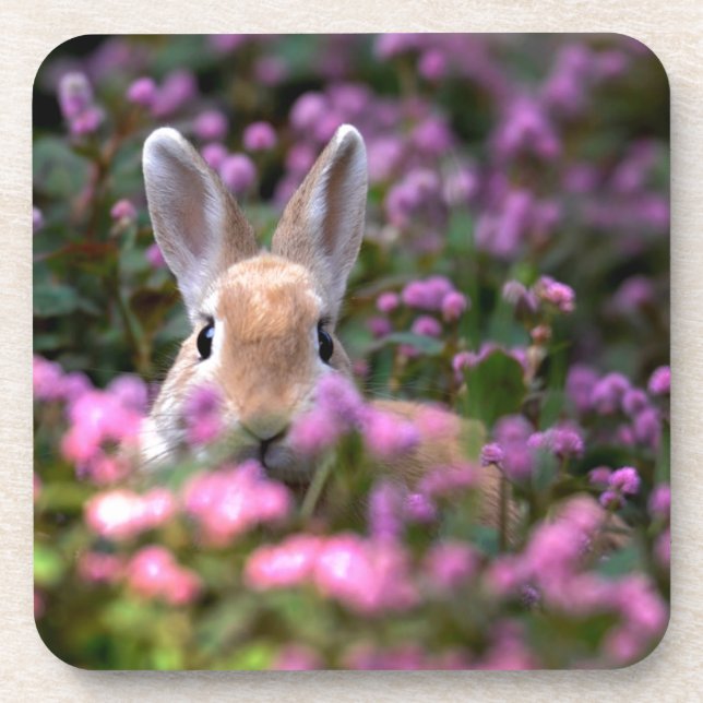 Posavasos Granja de conejo (Frente)