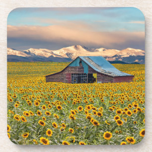 Posavasos Granjas   Campo de girasol