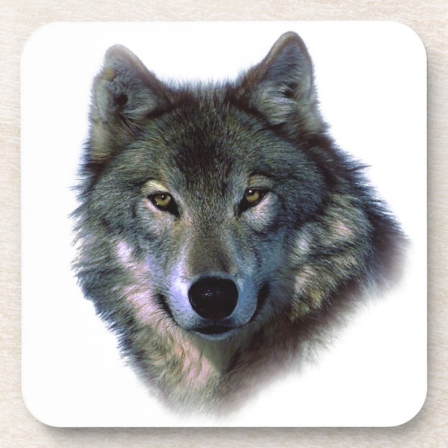Posavasos Gray Wolf Eyes (Frente)