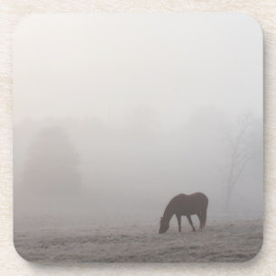 Posavasos Graznido de niebla