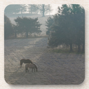 Posavasos Graznido de niebla