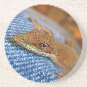 Posavasos Green Anole Lizard