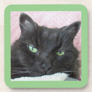 Posavasos Green Eyed Black Cat Coaster