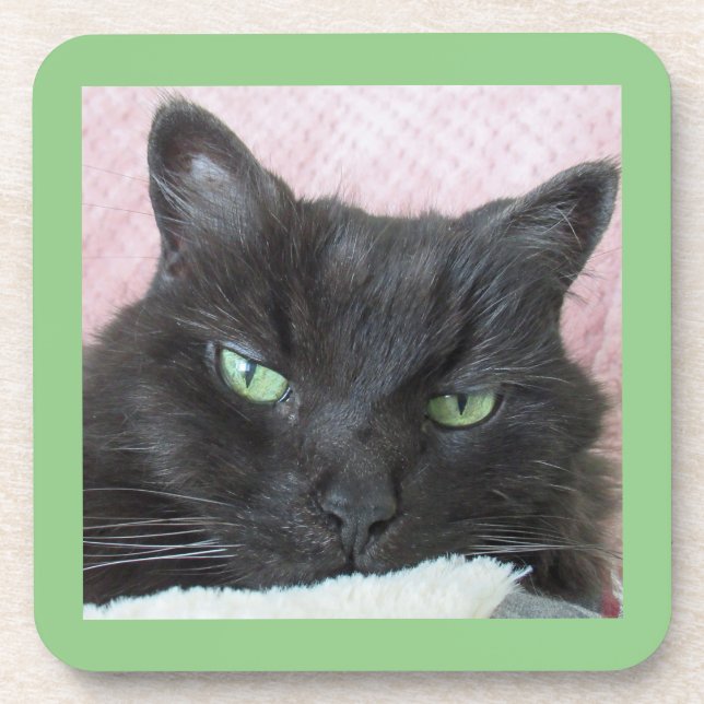 Posavasos Green Eyed Black Cat Coaster (Frente)