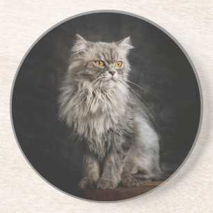 Posavasos Gris Fluffy Cat