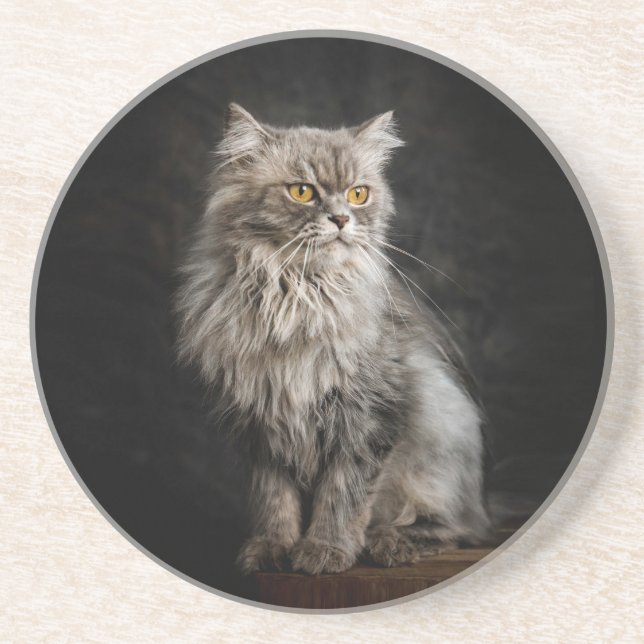 Posavasos Gris Fluffy Cat (Frente)