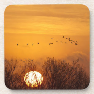 Posavasos Grúas de arenisca en silueta contra el sol nacien