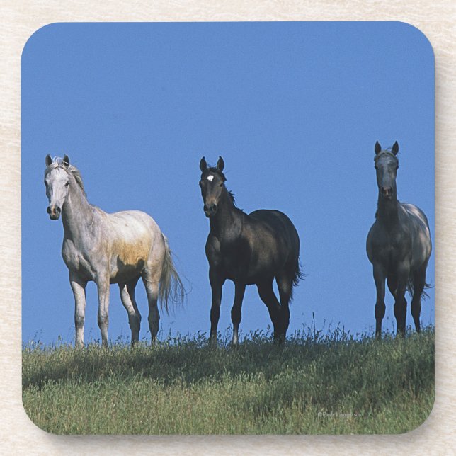 Posavasos Grupo de árabes (Frente)