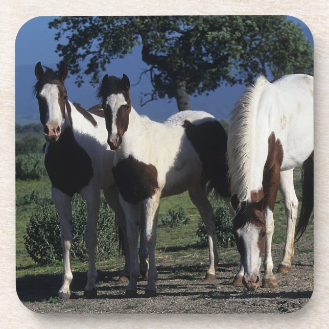 Posavasos Grupo de caballos de la pintura (Frente)