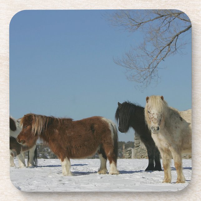 Posavasos Grupo de caballos miniatura en la nieve (Frente)