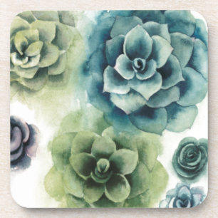 Posavasos Grupo de Suculentos