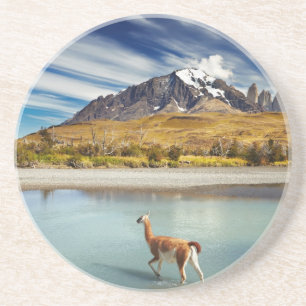 Posavasos Guanaco que cruza el río en Torres del Paine