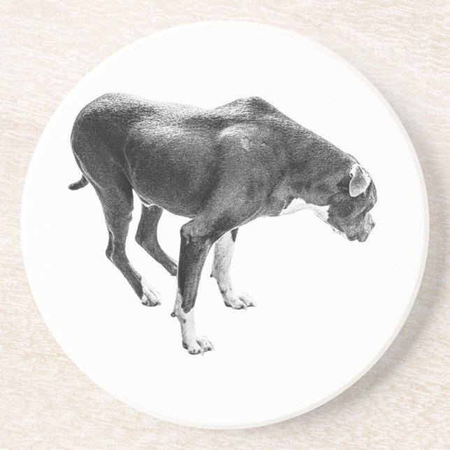 Posavasos Guardián de tabla de otoño (Frente)