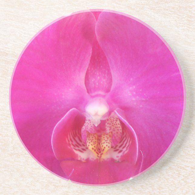 Posavasos Guda (Frente)