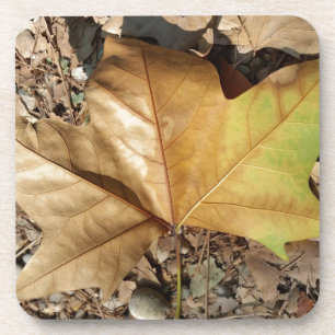 Posavasos guijarros y hojas