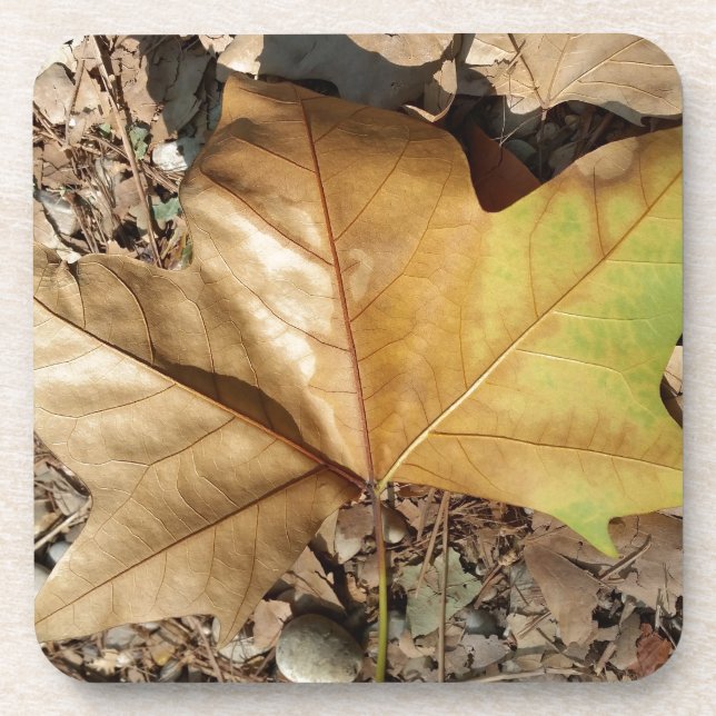 Posavasos guijarros y hojas (Frente)