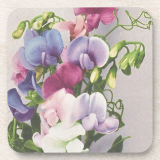 Posavasos Guisante de olor 1907