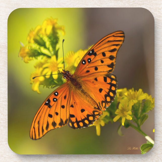 Posavasos Gulf Fritillary aka Passion Butterfly on Goldenrod (Frente)