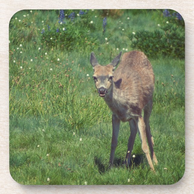 Posavasos Hacer frente (Frente)