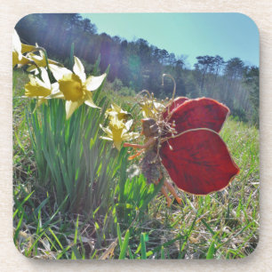 Posavasos hada de ala roja y daffodis