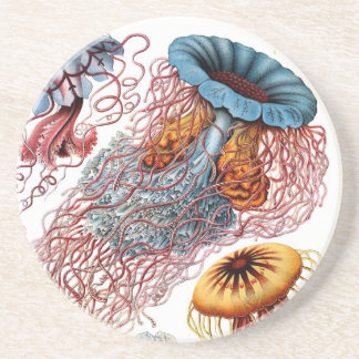 Posavasos Haeckel