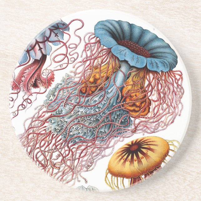 Posavasos Haeckel (Frente)