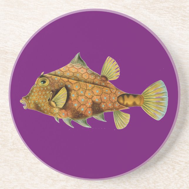 Posavasos Haeckel Fish (Frente)
