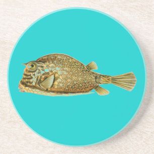 Posavasos Haeckel Fish