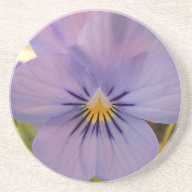 Posavasos Haetzlern (Frente)