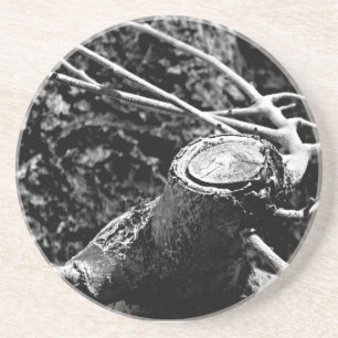 Posavasos hágame girar alrededor de árbol