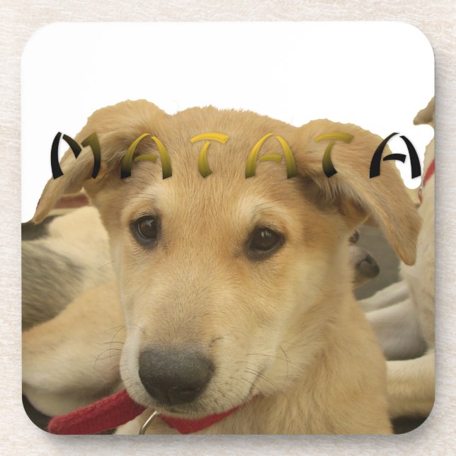 Posavasos "Hakuna Matata Pup" - Amor a los cachorros sin pre (Frente)