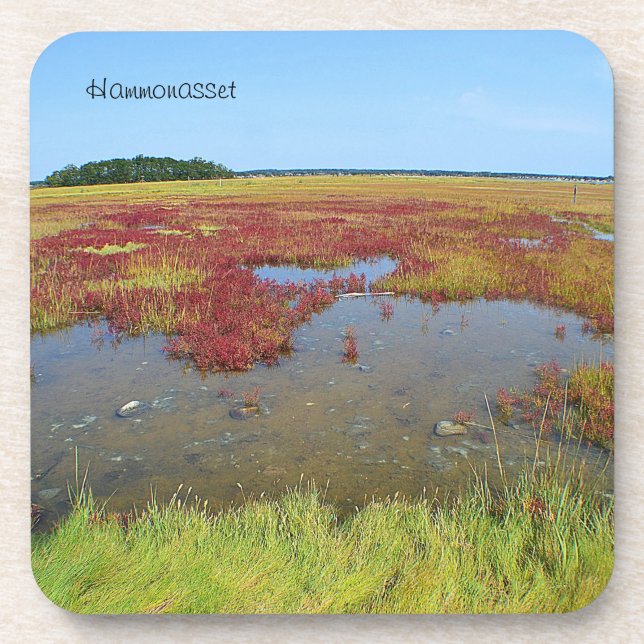 Posavasos Hammonasset Coaster (Frente)