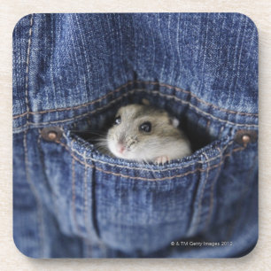 Posavasos Hámster en bolsillo