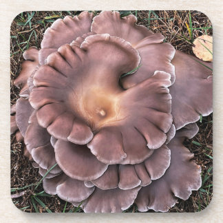 Posavasos Hard plastic coaster Fungi