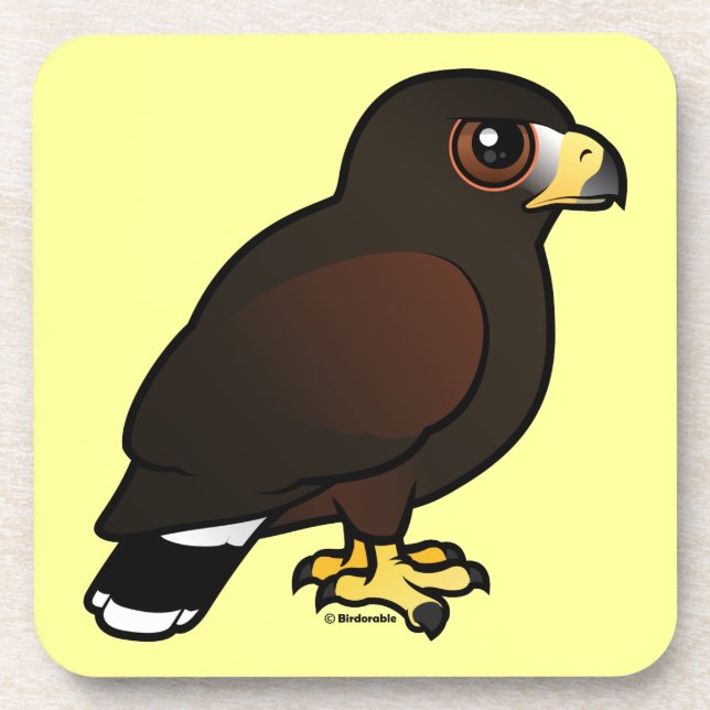 Posavasos Harris Hawk (Frente)