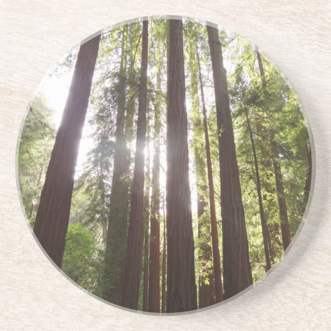 Posavasos Hasta secuoyas por la mañana (Frente)