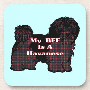 POSAVASOS HAVANESE BFF